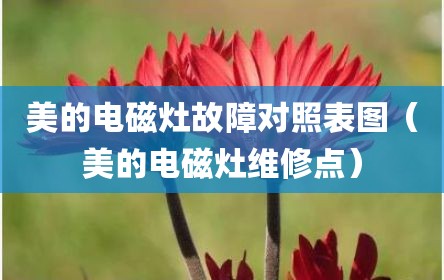 美的电磁灶故障对照表图（美的电磁灶维修点）