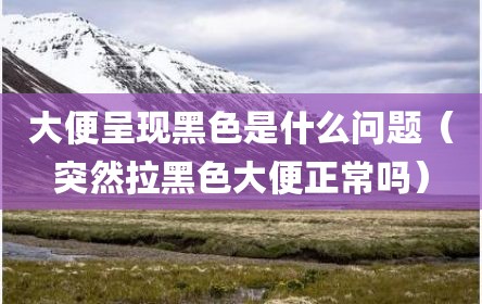 大便呈现黑色是什么问题（突然拉黑色大便正常吗）