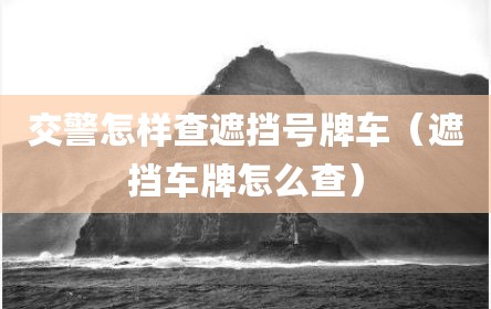 交警怎样查遮挡号牌车（遮挡车牌怎么查）