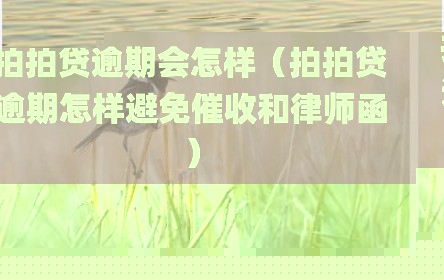 拍拍贷逾期会怎样（拍拍贷逾期怎样避免催收和律师函）