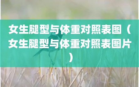 女生腿型与体重对照表图（女生腿型与体重对照表图片）
