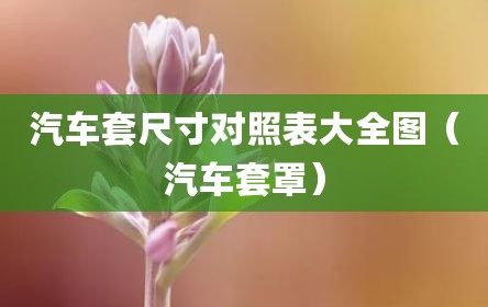 汽车套尺寸对照表大全图（汽车套罩）