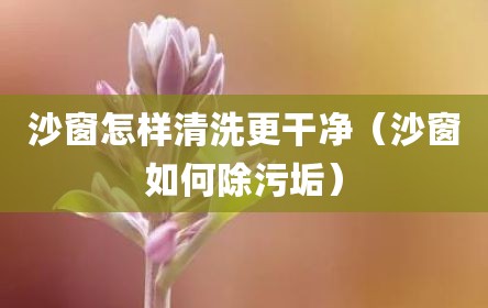 沙窗怎样清洗更干净（沙窗如何除污垢）