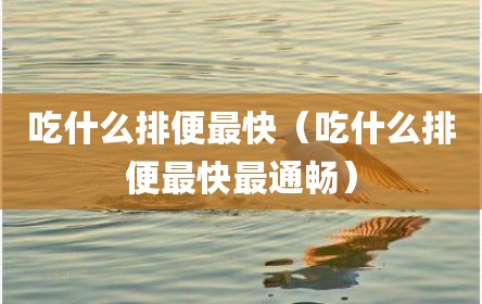 吃什么排便最快（吃什么排便最快最通畅）