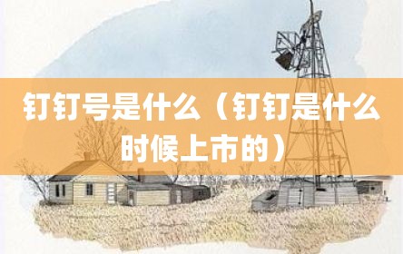 钉钉号是什么（钉钉是什么时候上市的）