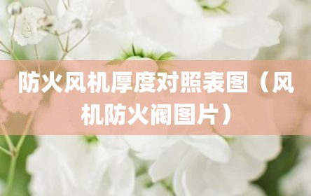 防火风机厚度对照表图（风机防火阀图片）