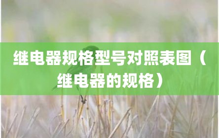 继电器规格型号对照表图（继电器的规格）