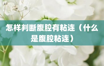 怎样判断腹腔有粘连（什么是腹腔粘连）