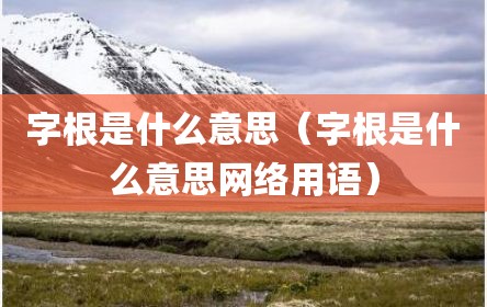 字根是什么意思（字根是什么意思网络用语）