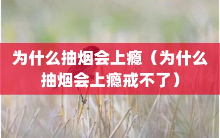 为什么抽烟会上瘾（为什么抽烟会上瘾戒不了）