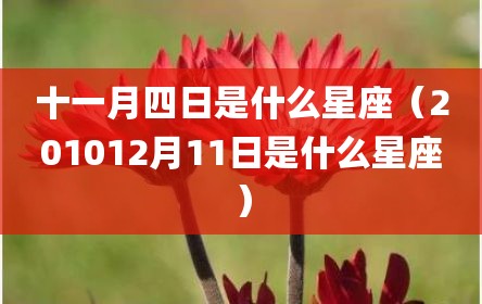 十一月四日是什么星座（201012月11日是什么星座）