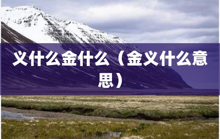 义什么金什么（金义什么意思）