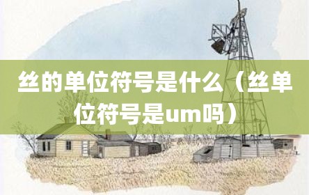 丝的单位符号是什么（丝单位符号是um吗）