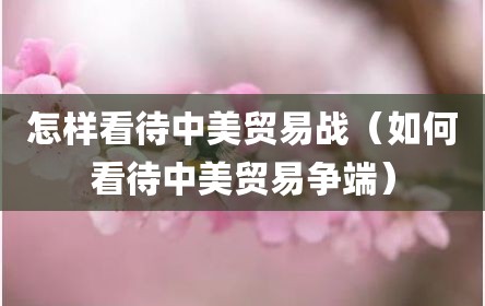 怎样看待中美贸易战（如何看待中美贸易争端）