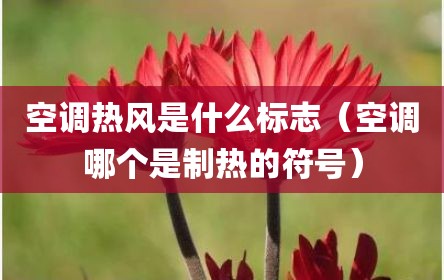 空调热风是什么标志（空调哪个是制热的符号）