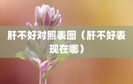 肝不好对照表图（肝不好表现在哪）