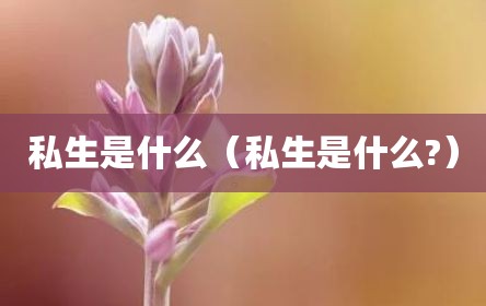私生是什么（私生是什么?）