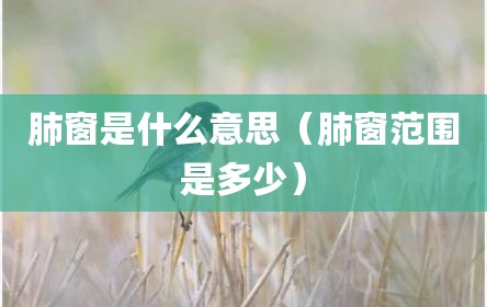 肺窗是什么意思（肺窗范围是多少）