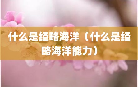 什么是经略海洋（什么是经略海洋能力）