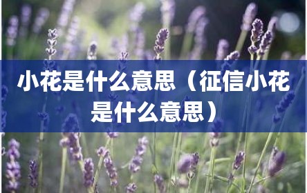 小花是什么意思（征信小花是什么意思）