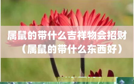 属鼠的带什么吉祥物会招财（属鼠的带什么东西好）