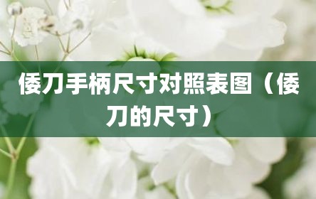 倭刀手柄尺寸对照表图（倭刀的尺寸）