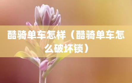 酷骑单车怎样（酷骑单车怎么破坏锁）