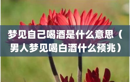 梦见自己喝酒是什么意思（男人梦见喝白酒什么预兆）