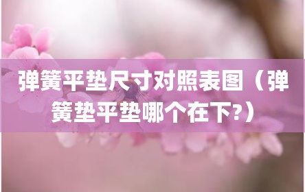 弹簧平垫尺寸对照表图（弹簧垫平垫哪个在下?）