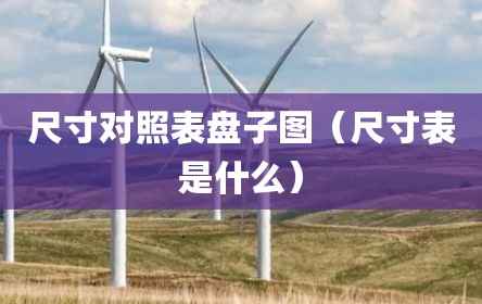 尺寸对照表盘子图（尺寸表是什么）