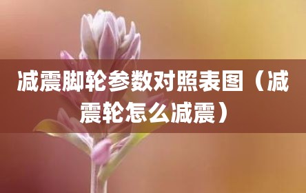 减震脚轮参数对照表图（减震轮怎么减震）