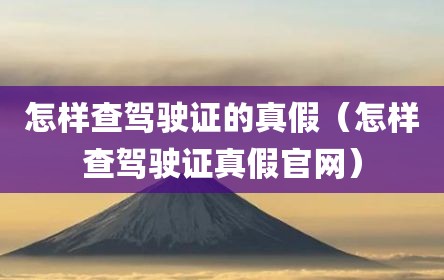 怎样查驾驶证的真假（怎样查驾驶证真假官网）