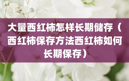 大量西红柿怎样长期储存（西红柿保存方法西红柿如何长期保存）