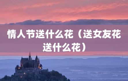 情人节送什么花（送女友花送什么花）