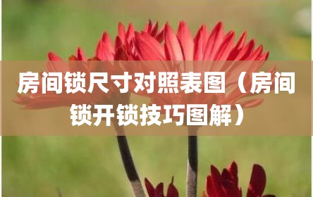 房间锁尺寸对照表图（房间锁开锁技巧图解）