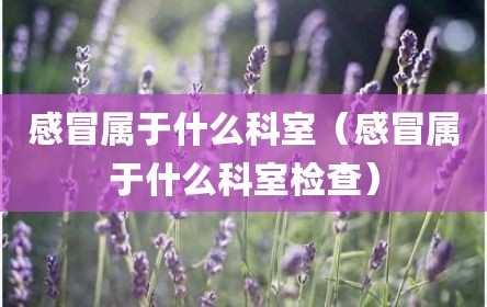 感冒属于什么科室（感冒属于什么科室检查）