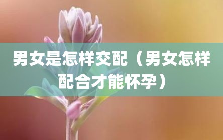 男女是怎样交配（男女怎样配合才能怀孕）
