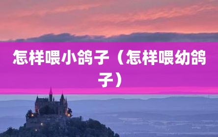 怎样喂小鸽子（怎样喂幼鸽子）