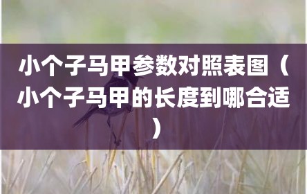 小个子马甲参数对照表图（小个子马甲的长度到哪合适）