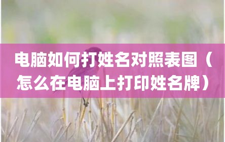 电脑如何打姓名对照表图（怎么在电脑上打印姓名牌）