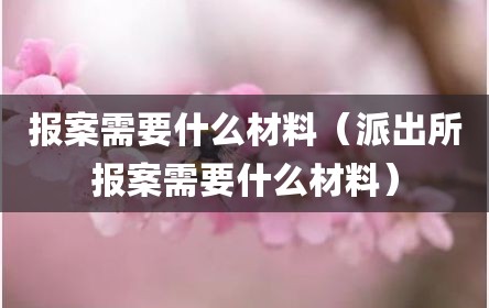 报案需要什么材料（派出所报案需要什么材料）