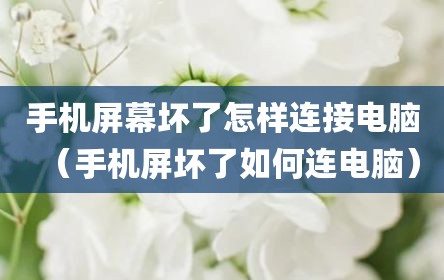 手机屏幕坏了怎样连接电脑（手机屏坏了如何连电脑）