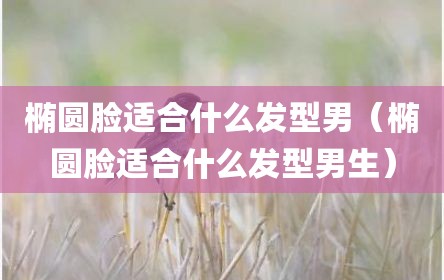 椭圆脸适合什么发型男（椭圆脸适合什么发型男生）