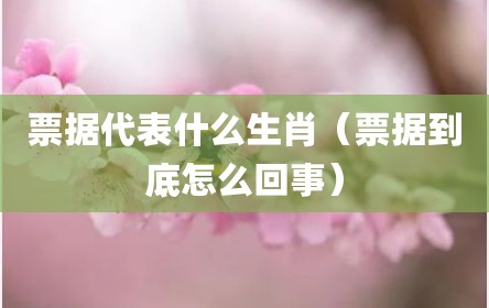 票据代表什么生肖（票据到底怎么回事）