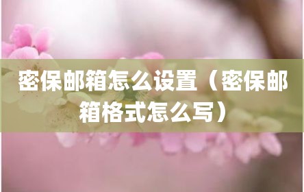 密保邮箱怎么设置（密保邮箱格式怎么写）