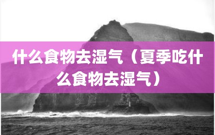 什么食物去湿气（夏季吃什么食物去湿气）