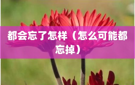 都会忘了怎样（怎么可能都忘掉）