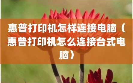 惠普打印机怎样连接电脑（惠普打印机怎么连接台式电脑）
