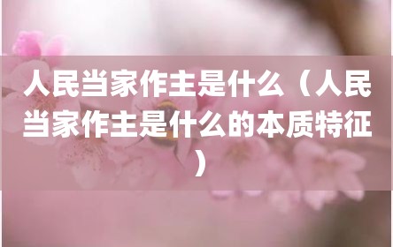人民当家作主是什么（人民当家作主是什么的本质特征）