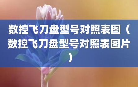 数控飞刀盘型号对照表图（数控飞刀盘型号对照表图片）
